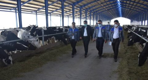 بازدید دکتر محمد رضوانی فر از شرکت ارس دام آرشام